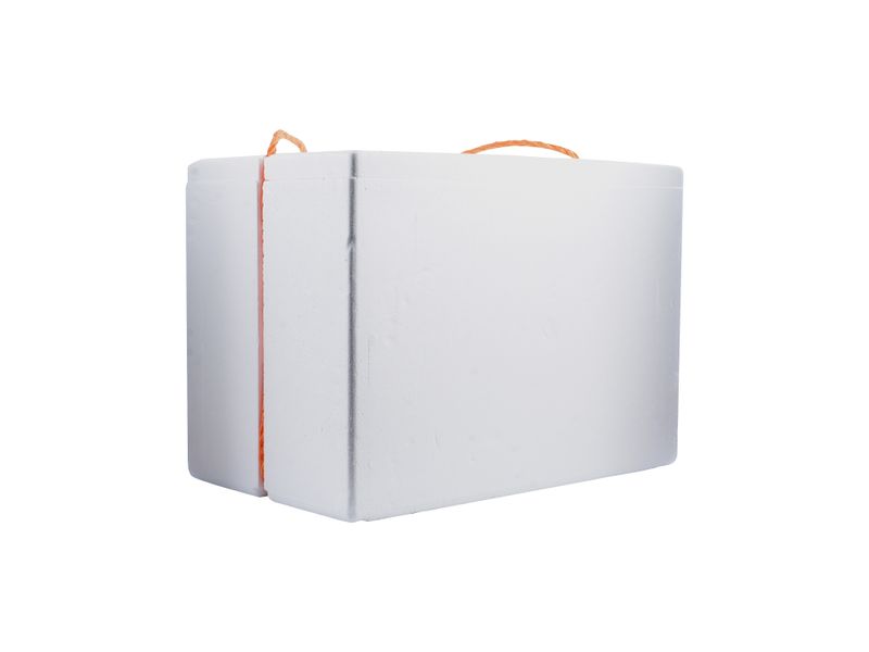 Hielera-Estereofon-39-Lt-2-12824