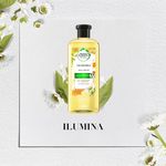 Shampoo-Herbal-Essences-Bio-Renew-Chamomile-400Ml-8-1791