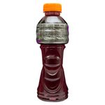 Gatorade-Uva-350Ml-Pad-2-2491