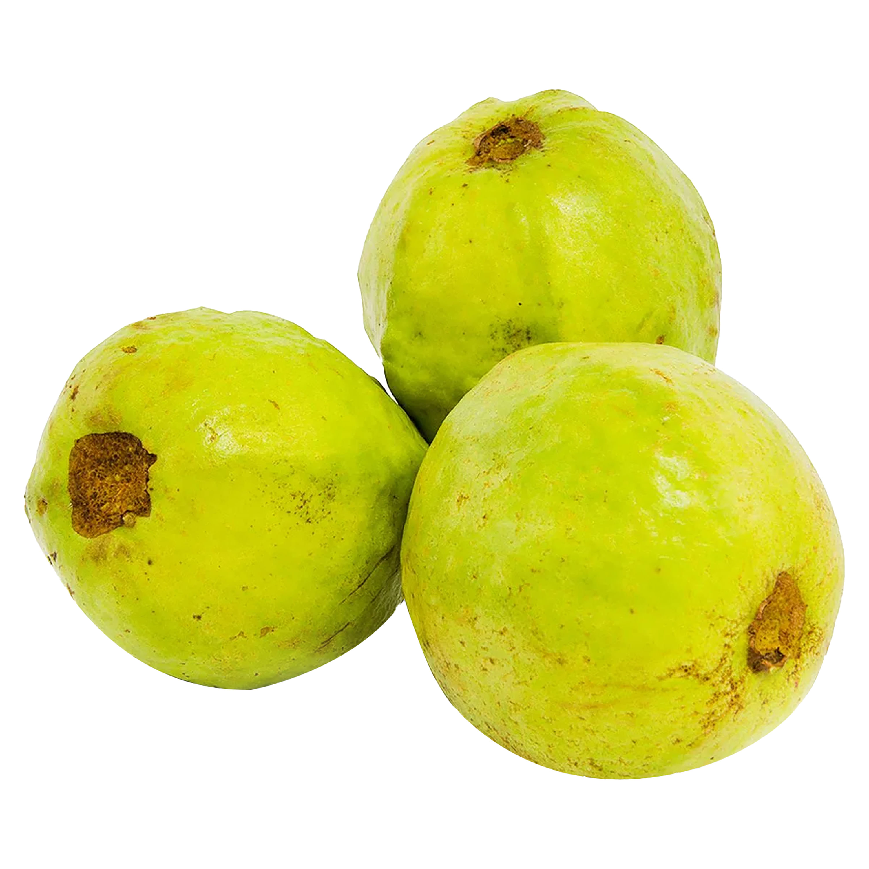 Guayaba-Premium-Kgl-4-A-5-Unidades-Por-Kg-Aproximadamente-1-69