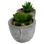 Plantas-Mainstays-Con-Base-De-Barro-Gris-2-7786
