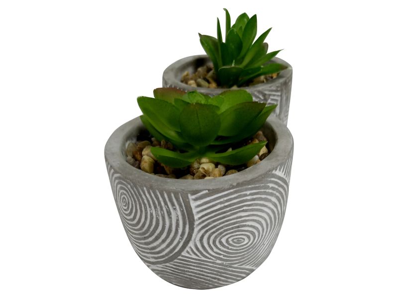 Plantas-Mainstays-Con-Base-De-Barro-Gris-2-7786