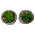 Plantas-Mainstays-Con-Base-De-Barro-Gris-3-7786