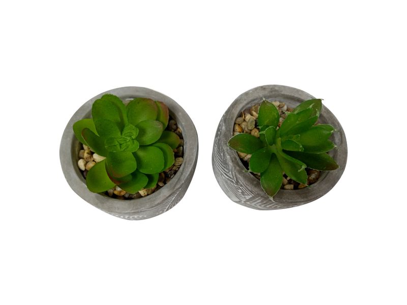 Plantas-Mainstays-Con-Base-De-Barro-Gris-3-7786
