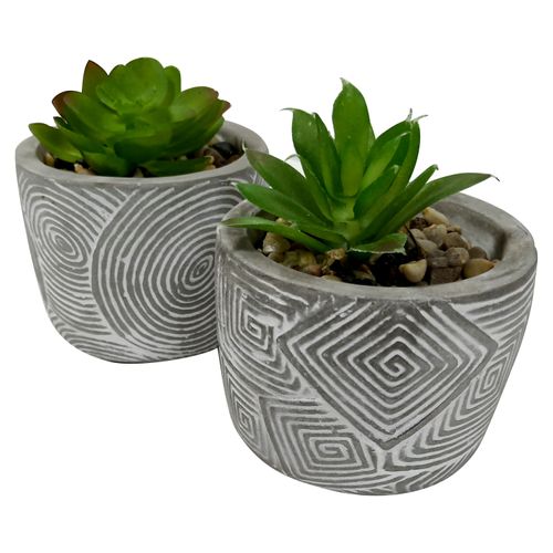 Plantas Mainstays Con Base De Barro Gris