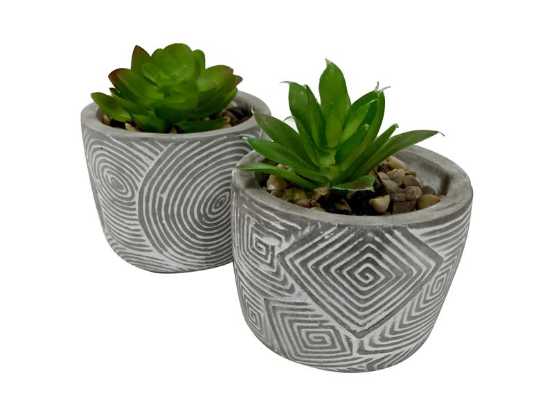Plantas-Mainstays-Con-Base-De-Barro-Gris-1-7786
