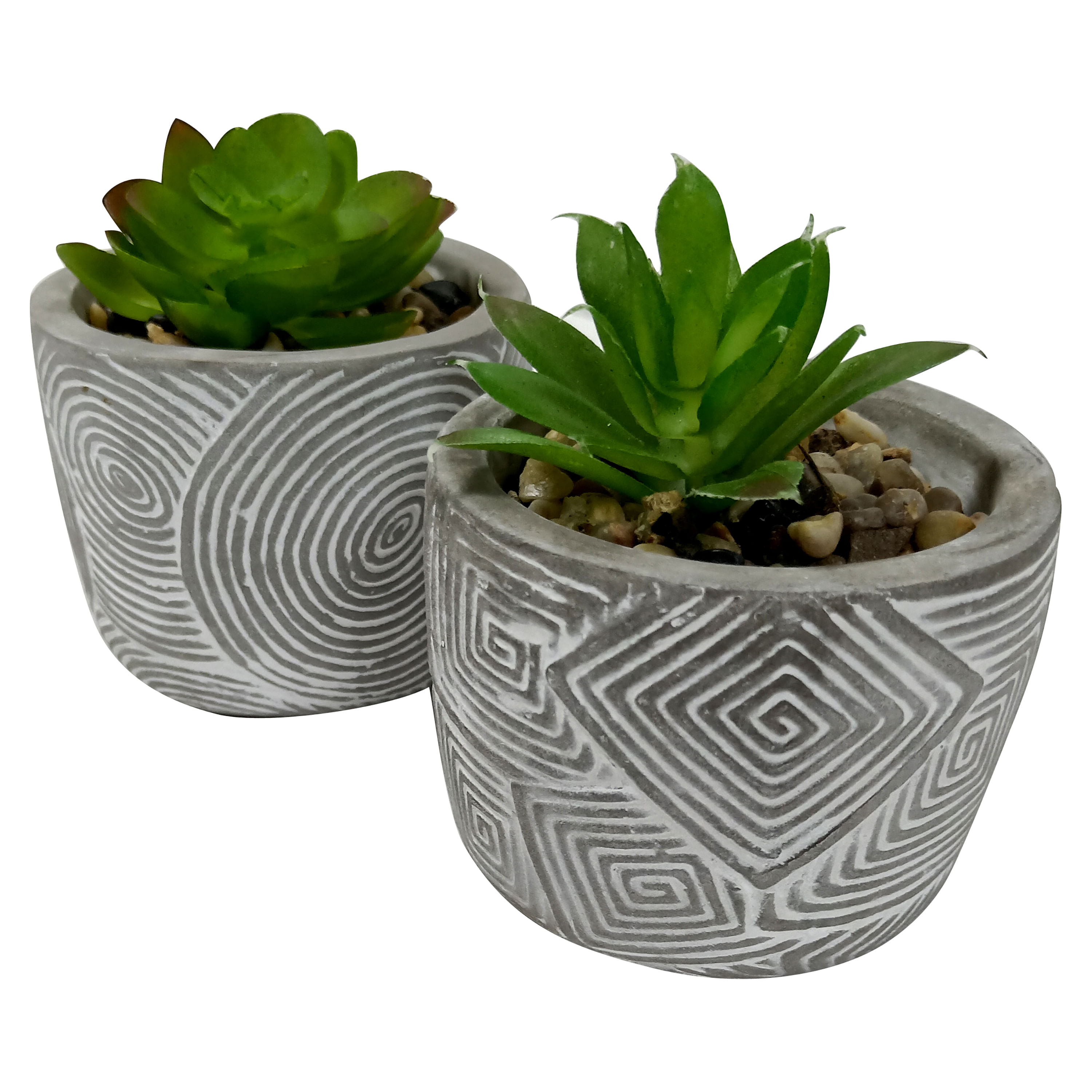 Plantas-Mainstays-Con-Base-De-Barro-Gris-1-7786
