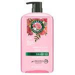 Shampoo-Herbal-Essences-Smooth-Rose-Hips-865Ml-1-2719