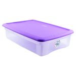 Caja-Organizadora-Uchosa-Surtido-Colores-30lt-2-6199