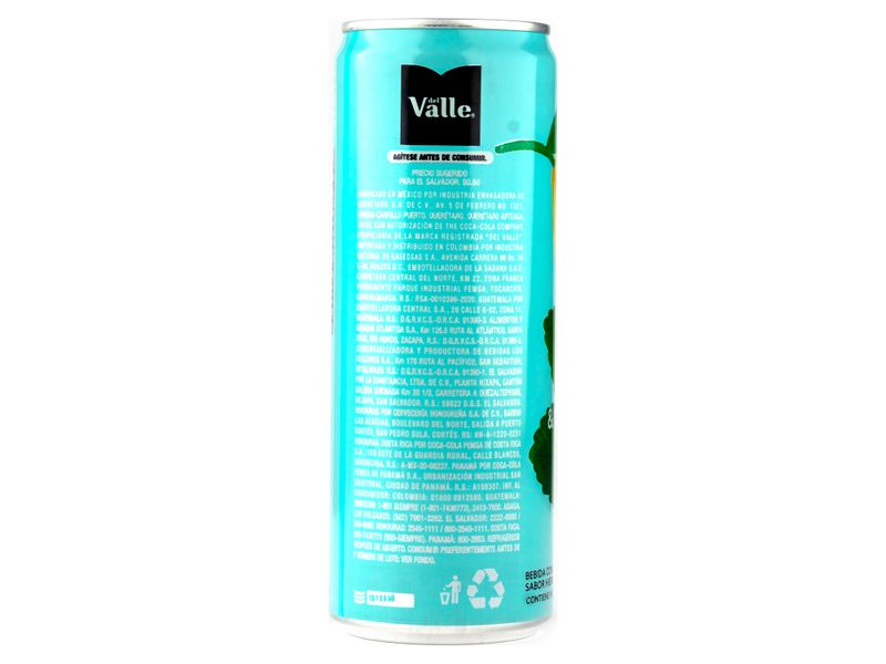 Del-Valle-Limonada-Hierbabuena-330-Ml-2-3733