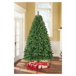 Arbol-Verde-7-5P-2-28Mts-1310R-N8-Wm-4-17810