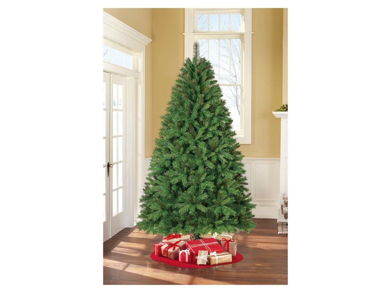 Arbol-Verde-7-5P-2-28Mts-1310R-N8-Wm-4-17810