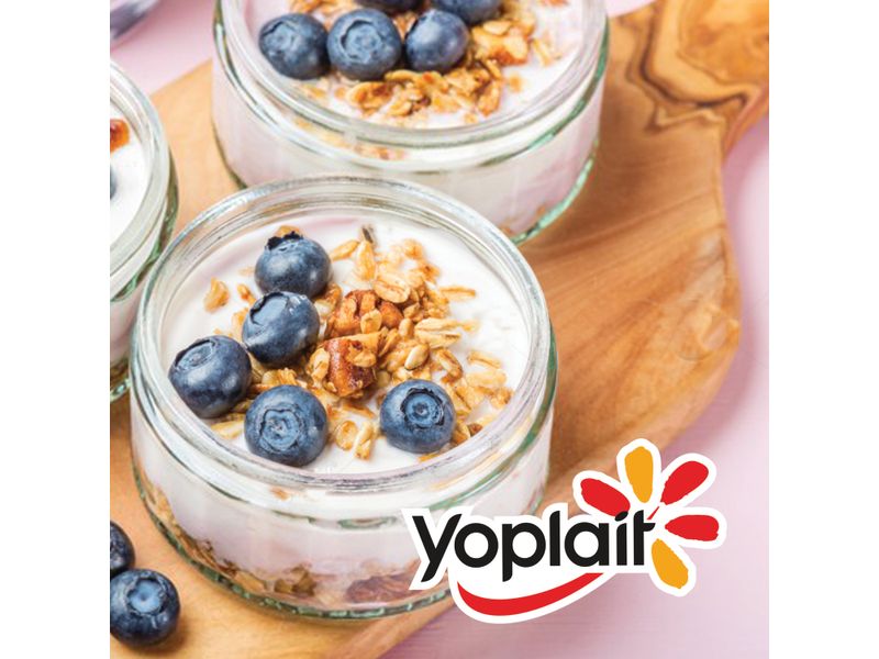 Yogurt-Yoplait-Arandano-Protein-230Gr-2-3925