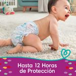 Pa-ales-Desechables-Pampers-Cruisers-Talla-5-52-Unidades-4-4781