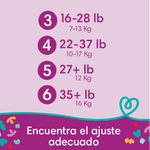 Pa-ales-Desechables-Pampers-Cruisers-Talla-5-52-Unidades-6-4781