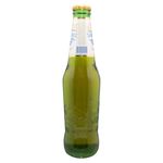 CERVEZA-SANTA-CRUZ-VIDRIO-330ML-2-1451