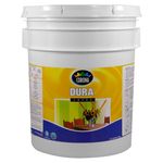 Pintura-Century-Latex-Bantiguo-5-Galones-1-17147