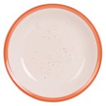 Plato-Plano-De-Loza-10-5Plg-2-19818