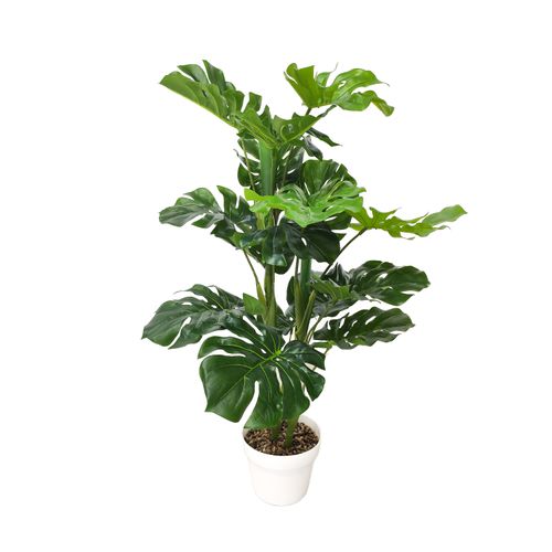 Mainstays Palma Artificial Con Maceta Blanca