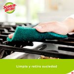 Comprar Fibra Scotch-Brite® Limpieza Pesada Negra Parrilla- 1 Unidad