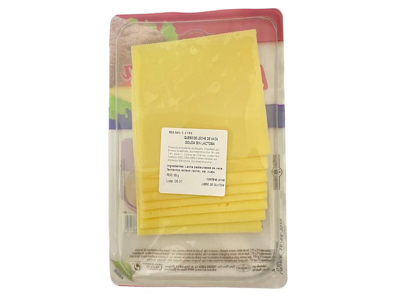 Queso-Gouda-Sin-Lactosa-150-Grms-2-2196