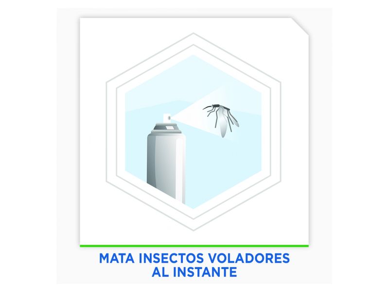 Insecticida-En-Aerosol-Raid-Mata-Moscas-Y-Mosquitos-400Ml-6-10915