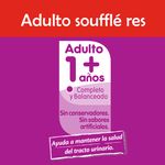 Souffle-Res-85gr-5-21600