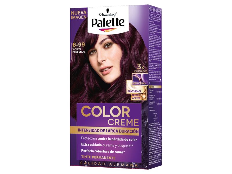 Tinte-Palette-Cc-699-Violeta-Pr-50gr-1-21658