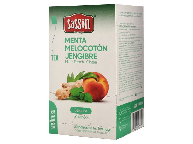 Te-Wellness-Balance-20X1X40G-Sasson-2-20904