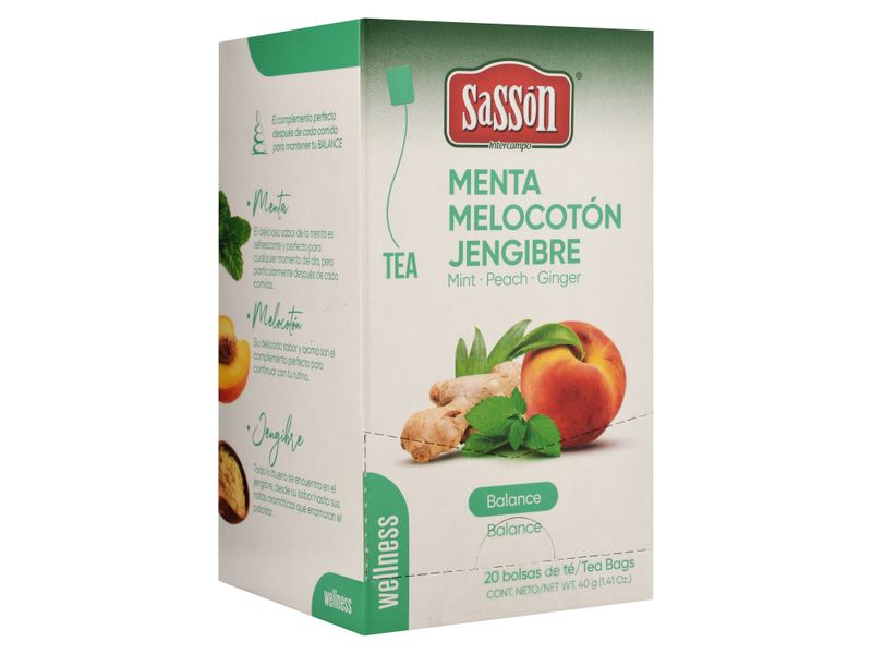 Te-Wellness-Balance-20X1X40G-Sasson-3-20904