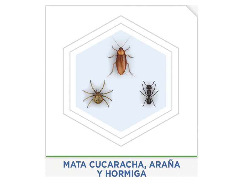 Raid-Protector-Insectos-Rastretos-400-Ml-6-22039