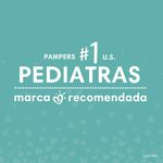 Pa-ales-Desechables-Pampers-Baby-Dry-Talla-5-78-Unidades-9-4758
