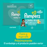 Pa-ales-Desechables-Pampers-Baby-Dry-Talla-5-112-Unidades-11-4762