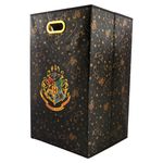 Hamper-Con-Agarradero-Harry-Potter-Mains-2-22850