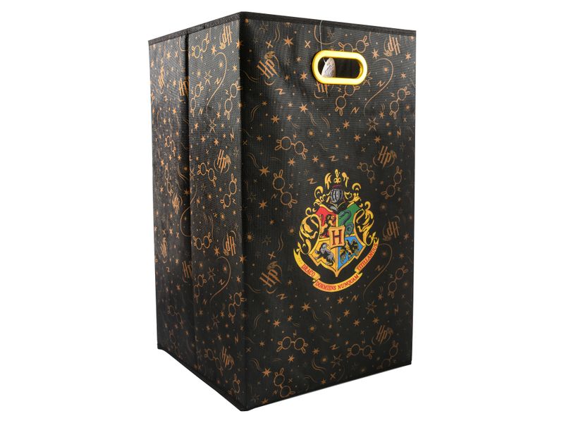 Hamper-Con-Agarradero-Harry-Potter-Mains-3-22850