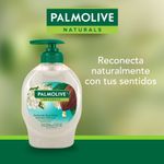 Jab-n-L-quido-Palmolive-Naturals-Delicada-Suavidad-Jazm-n-y-Cacao-221-ml-3-4333
