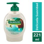 Jab-n-L-quido-Palmolive-Naturals-Delicada-Suavidad-Jazm-n-y-Cacao-221-ml-1-4333