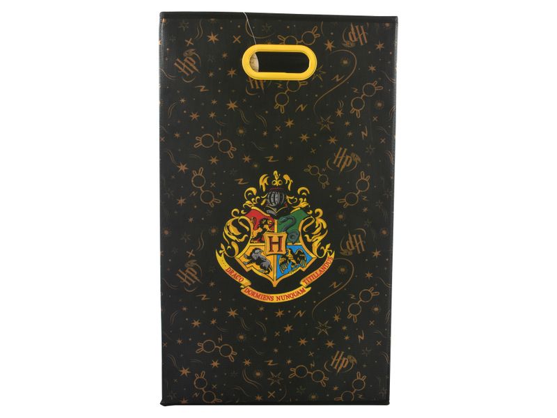 Hamper-Con-Agarradero-Harry-Potter-Mains-1-22850