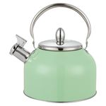 Tetera-Con-Recubrimiento-Color-2-5Lts-2-21910