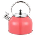 Tetera-Con-Recubrimiento-Color-2-5Lts-3-21910