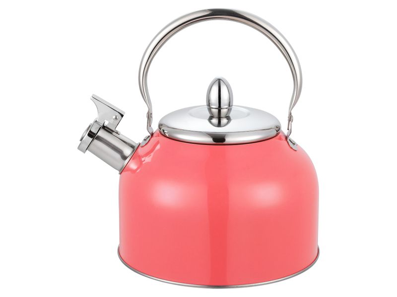 Tetera-Con-Recubrimiento-Color-2-5Lts-3-21910