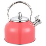 Tetera-Con-Recubrimiento-Color-2-5Lts-6-21910