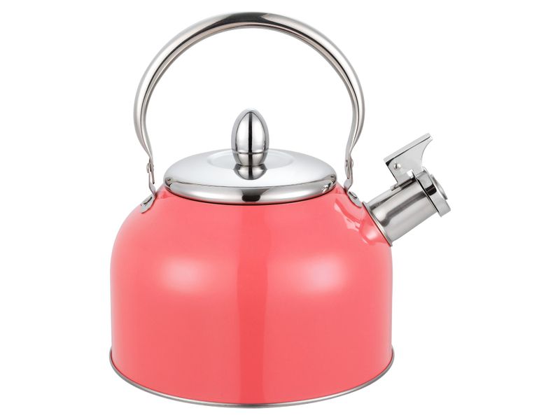 Tetera-Con-Recubrimiento-Color-2-5Lts-6-21910