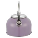 Tetera-Con-Recubrimiento-Color-2-5Lts-8-21910