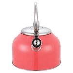 Tetera-Con-Recubrimiento-Color-2-5Lts-9-21910