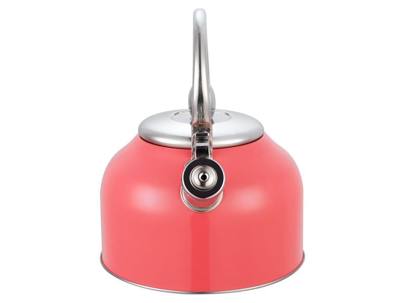 Tetera-Con-Recubrimiento-Color-2-5Lts-9-21910