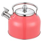 Tetera-Con-Recubrimiento-Color-2-5Lts-12-21910