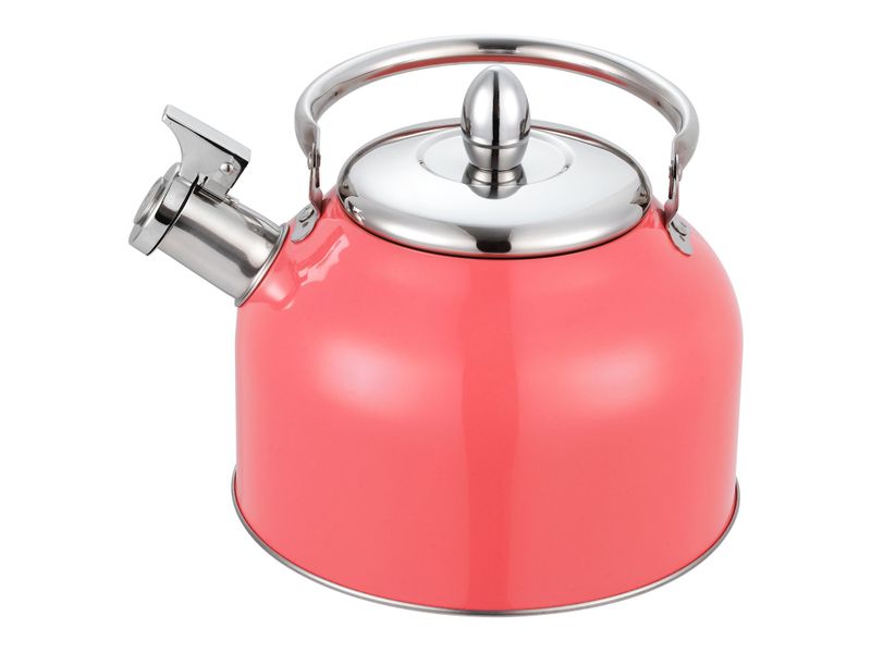 Tetera-Con-Recubrimiento-Color-2-5Lts-12-21910