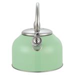 Tetera-Con-Recubrimiento-Color-2-5Lts-13-21910