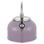 Tetera-Con-Recubrimiento-Color-2-5Lts-14-21910